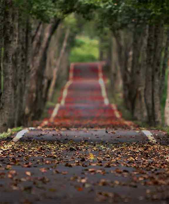 Derek Maclean - Capital Mortgages photo 3