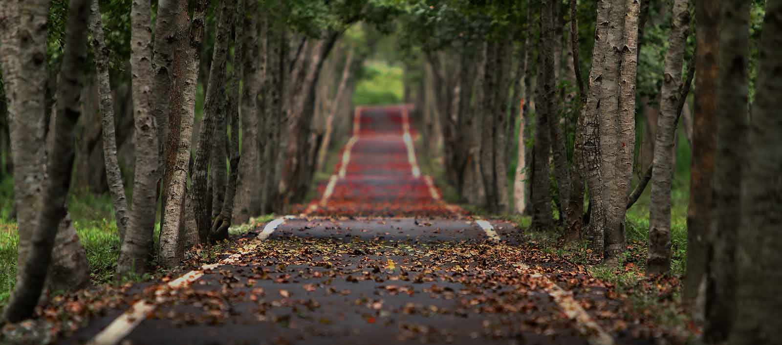 Derek Maclean - Capital Mortgages photo 4